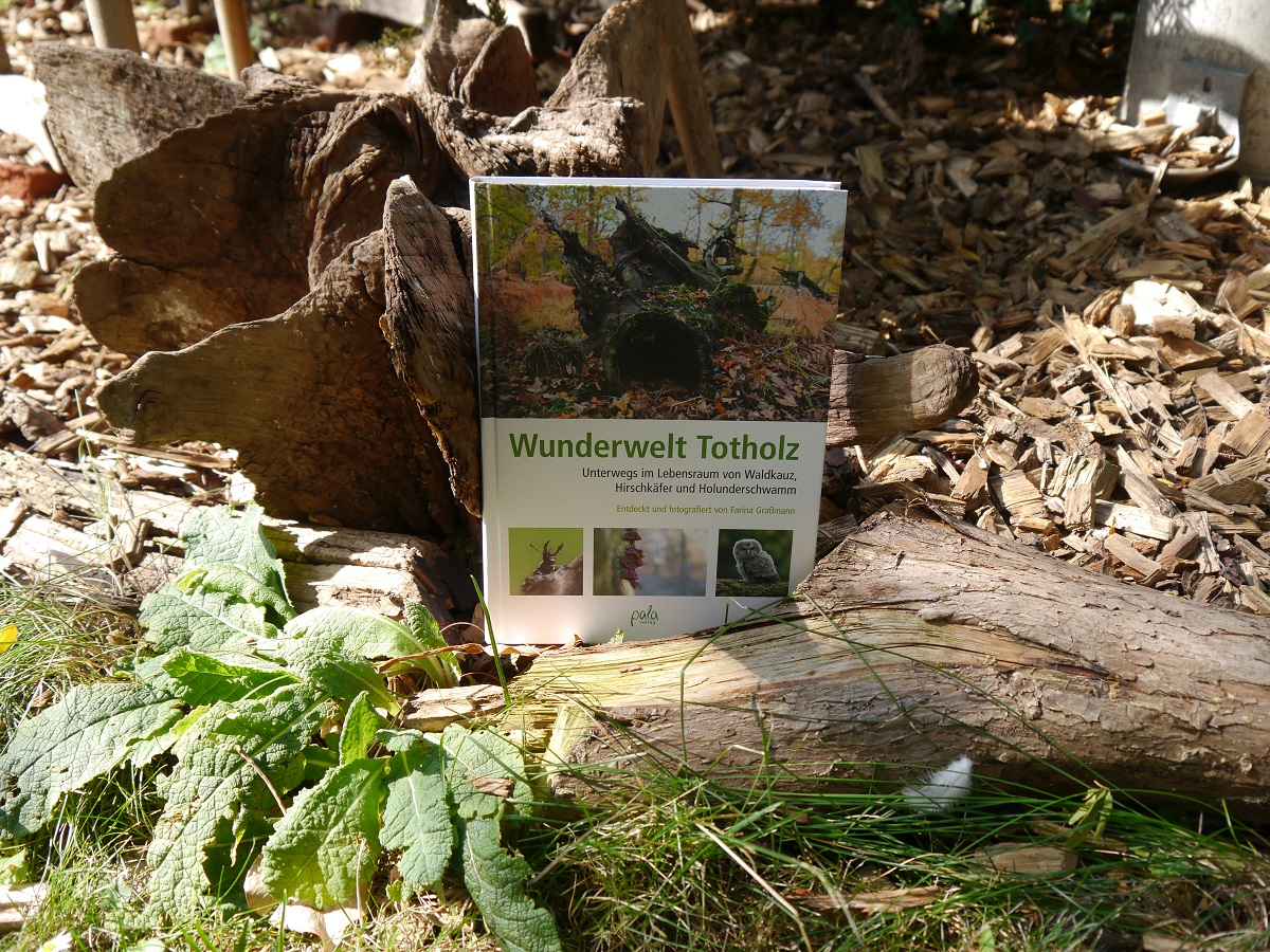 Wunderwelt Totholz – eine Buchrezension – Hortus Vivendi